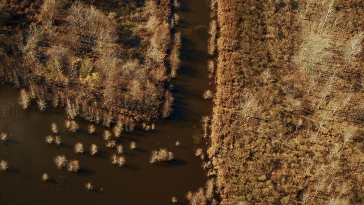 1,196+/- Acre Deer & Duck Hunting Paradise Tensas Parish, LA