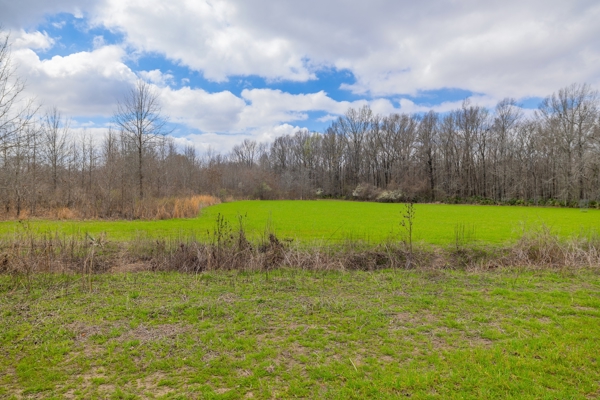1,196+/- Acre Deer & Duck Hunting Paradise Tensas Parish, LA