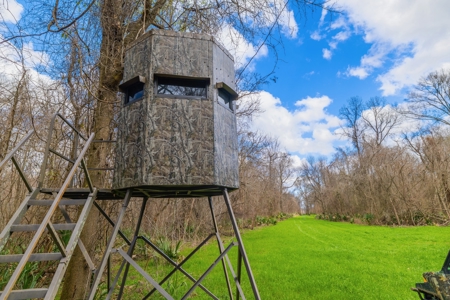 1,196+/- Acre Deer & Duck Hunting Paradise Tensas Parish, LA - image 24