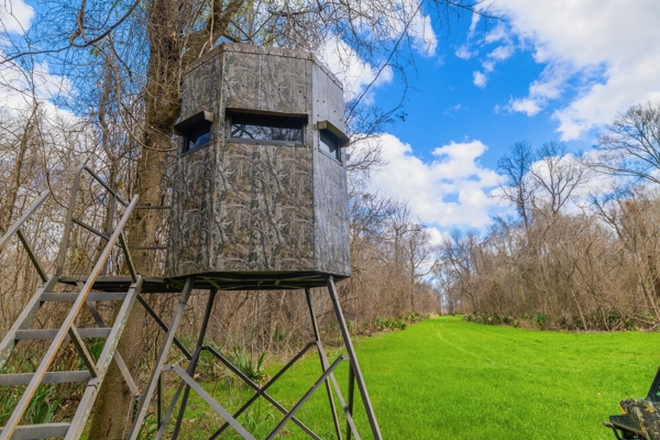 1,196+/- Acre Deer & Duck Hunting Paradise Tensas Parish, LA