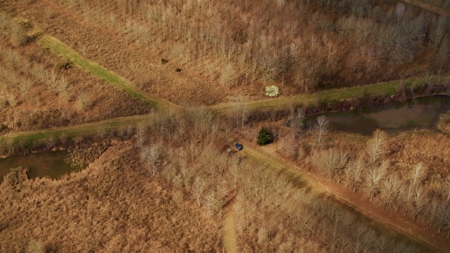 1,196+/- Acre Deer & Duck Hunting Paradise Tensas Parish, LA - image 34