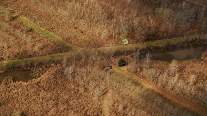 1,196+/- Acre Deer & Duck Hunting Paradise Tensas Parish, LA