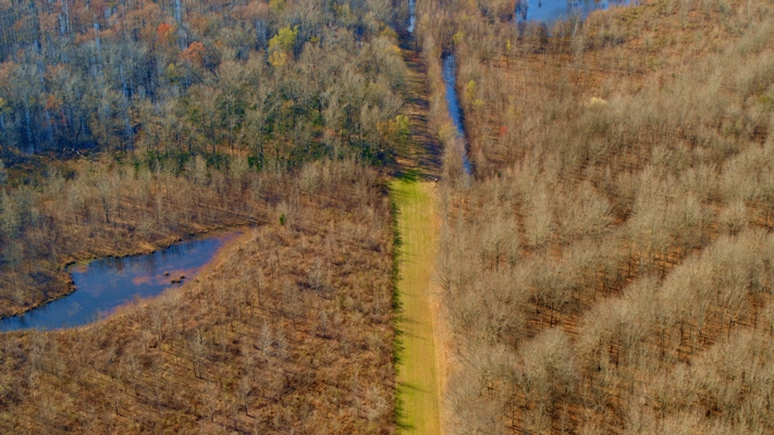 1,196+/- Acre Deer & Duck Hunting Paradise Tensas Parish, LA