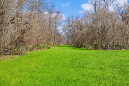1,196+/- Acre Deer & Duck Hunting Paradise Tensas Parish, LA - image 23