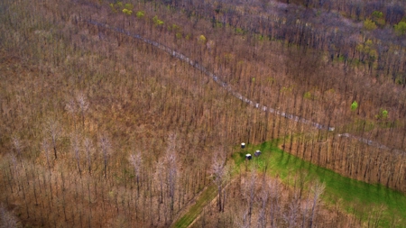 1,196+/- Acre Deer & Duck Hunting Paradise Tensas Parish, LA - image 42