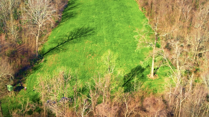 1,196+/- Acre Deer & Duck Hunting Paradise Tensas Parish, LA
