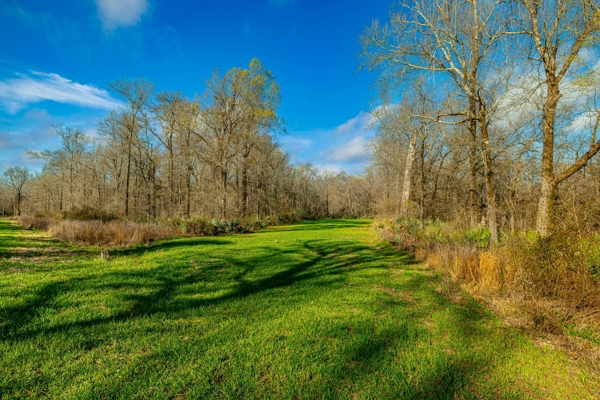 1,196+/- Acre Deer & Duck Hunting Paradise Tensas Parish, LA
