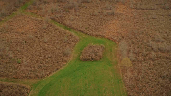 1,196+/- Acre Deer & Duck Hunting Paradise Tensas Parish, LA