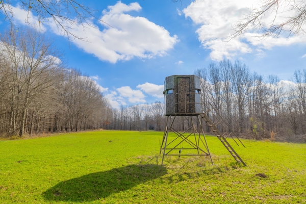 1,196+/- Acre Deer & Duck Hunting Paradise Tensas Parish, LA