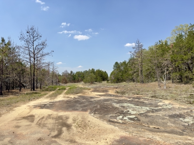 Arkansas Building, Hunting, And Recreational Land For Sale - image 19