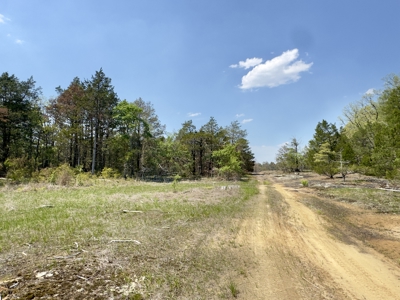 Arkansas Building, Hunting, And Recreational Land For Sale - image 16