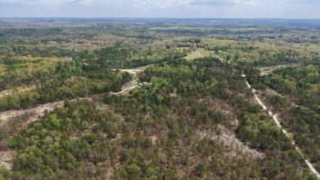 Arkansas Building, Hunting, And Recreational Land For Sale - image 8