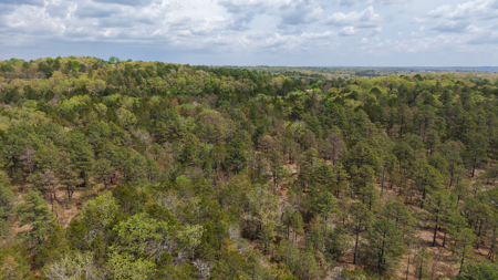 Arkansas Building, Hunting, And Recreational Land For Sale - image 5