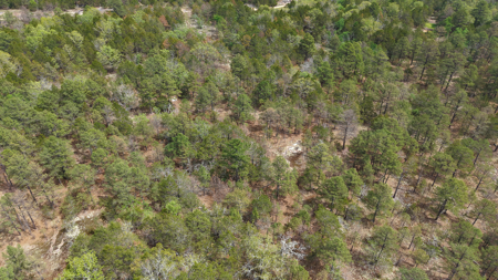 Arkansas Building, Hunting, And Recreational Land For Sale - image 6