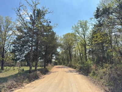 Arkansas Building, Hunting, And Recreational Land For Sale - image 27