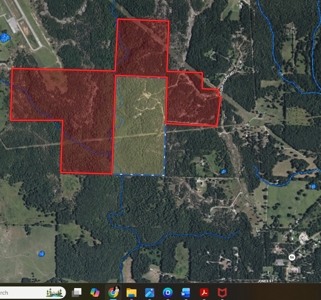 Arkansas Building, Hunting, And Recreational Land For Sale - image 30