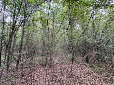 6.99+/- Wooded Acres with Pond For Sale in Higginson, AR - image 9