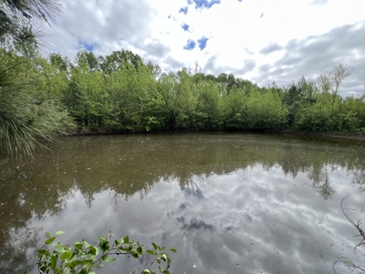 6.99+/- Wooded Acres with Pond For Sale in Higginson, AR - image 14