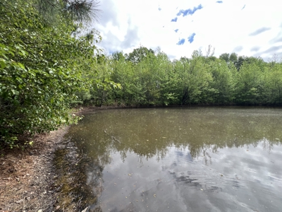 6.99+/- Wooded Acres with Pond For Sale in Higginson, AR - image 13