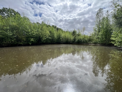 6.99+/- Wooded Acres with Pond For Sale in Higginson, AR - image 12