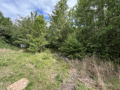 6.99+/- Wooded Acres with Pond For Sale in Higginson, AR - image 28