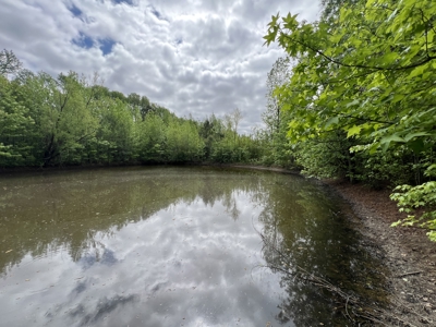 6.99+/- Wooded Acres with Pond For Sale in Higginson, AR - image 15