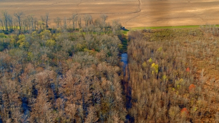 525+/- Acre Hunting Lodge for Sale in Sportsmans Paradise - image 47