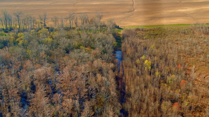 525+/- Acre Hunting Lodge for Sale in Sportsmans Paradise