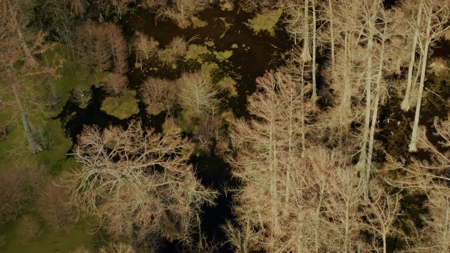 525+/- Acre Hunting Lodge for Sale in Sportsmans Paradise - image 42