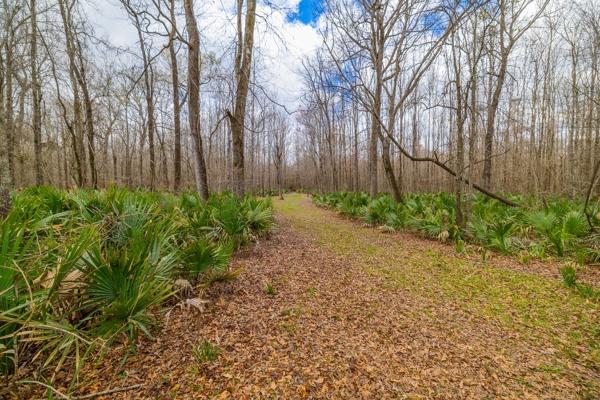 525+/- Acre Hunting Lodge for Sale in Sportsmans Paradise