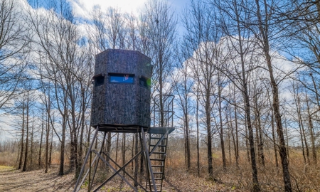 525+/- Acre Hunting Lodge for Sale in Sportsmans Paradise - image 6