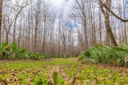 525+/- Acre Hunting Lodge for Sale in Sportsmans Paradise - image 21