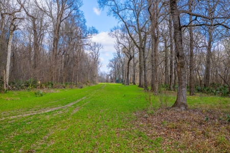 525+/- Acre Hunting Lodge for Sale in Sportsmans Paradise - image 24