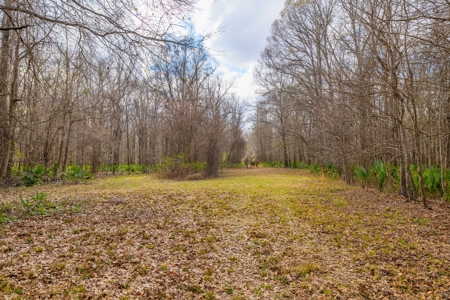 525+/- Acre Hunting Lodge for Sale in Sportsmans Paradise - image 22