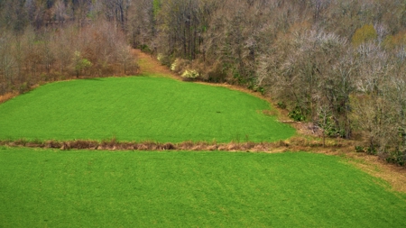 525+/- Acre Hunting Lodge for Sale in Sportsmans Paradise - image 43