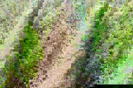 Hunting and Recreation Land For Sale in Tippah County, MS - image 11