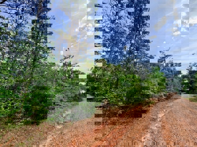 Hunting and Recreation Land For Sale in Tippah County, MS - image 15