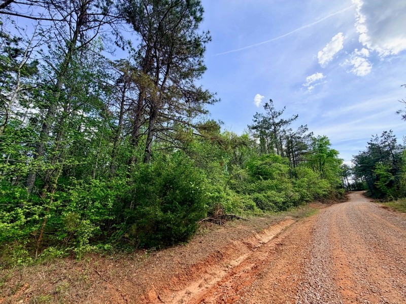 No Caption
