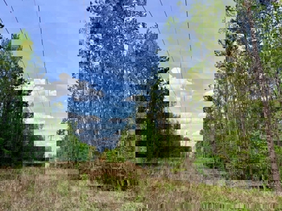 Hunting and Recreation Land For Sale in Tippah County, MS - image 17