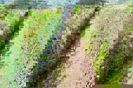 Hunting and Recreation Land For Sale in Tippah County, MS - image 20