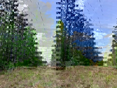 Hunting and Recreation Land For Sale in Tippah County, MS - image 18