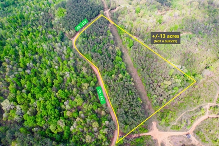 Hunting and Recreation Land For Sale in Tippah County, MS - image 5