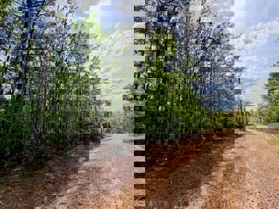 Hunting and Recreation Land For Sale in Tippah County, MS - image 2