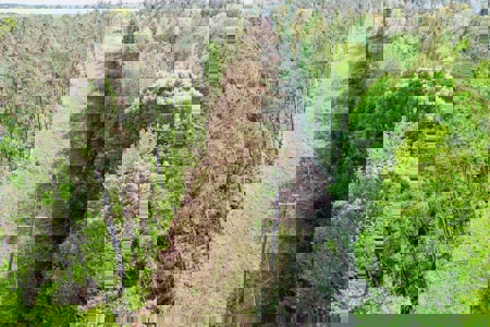 Hunting and Recreation Land For Sale in Tippah County, MS - image 16