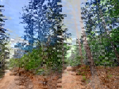 Hunting and Recreation Land For Sale in Tippah County, MS - image 19