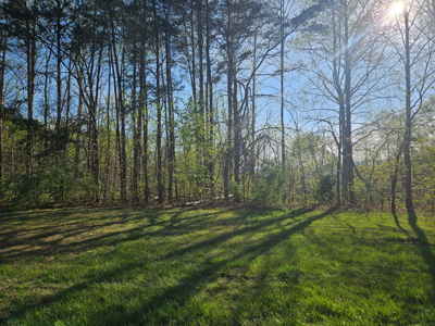 Land for Sale in Patrick County, VA - image 1