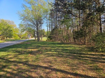 Land for Sale in Patrick County, VA - image 8