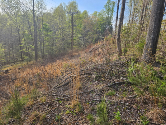 Land for Sale in Patrick County, VA