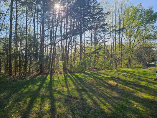 Land for Sale in Patrick County, VA