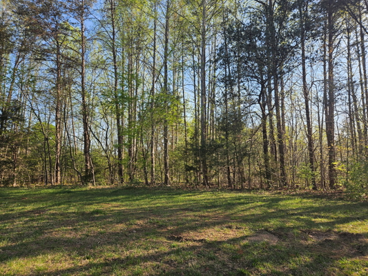 Land for Sale in Patrick County, VA